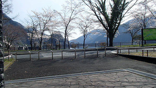 奥多摩周辺も桜が見頃